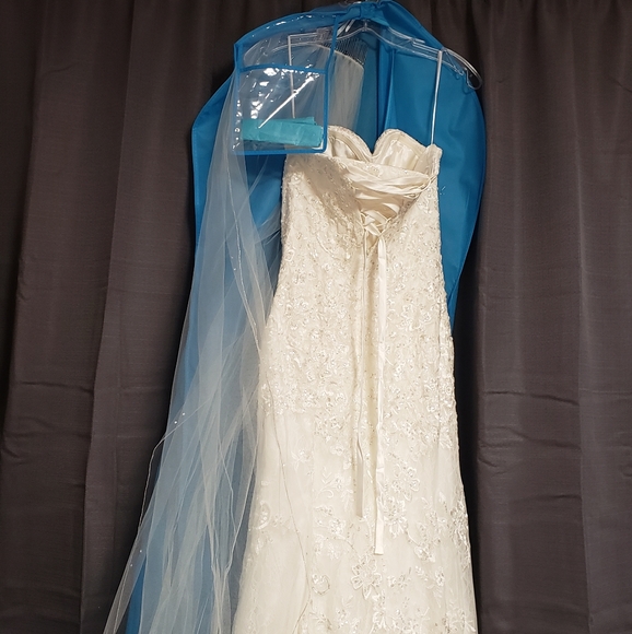 Beautiful Bridal Gown Set - Picture 3 of 8